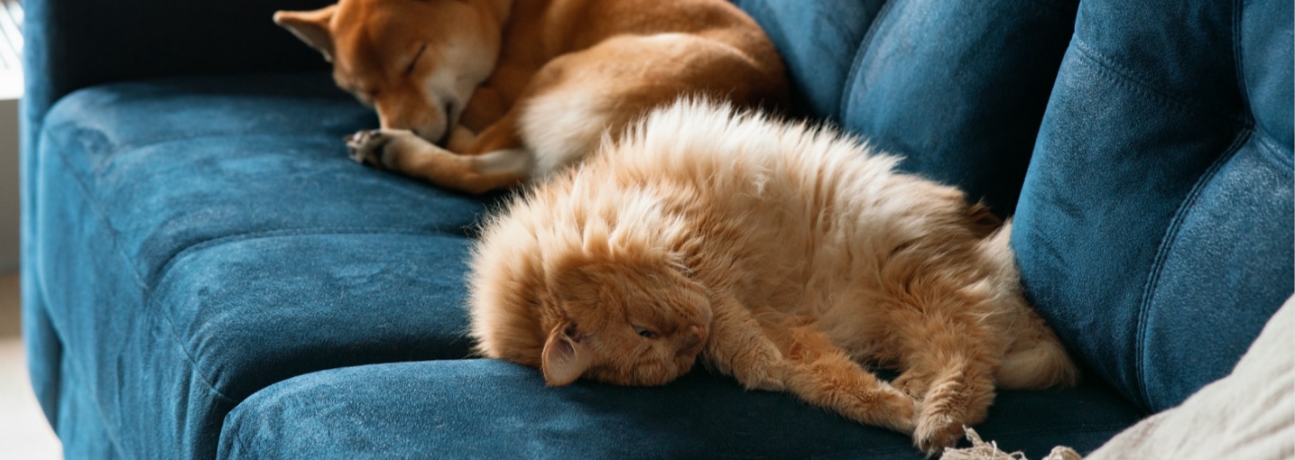 Info Book Mobilità - Allianz Italia