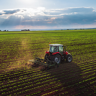 Aziende Agricole